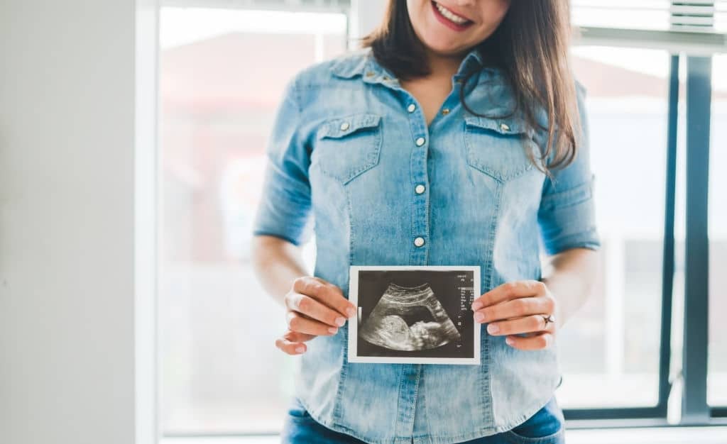 Menopause and fertility 3 menopausia fertilidad