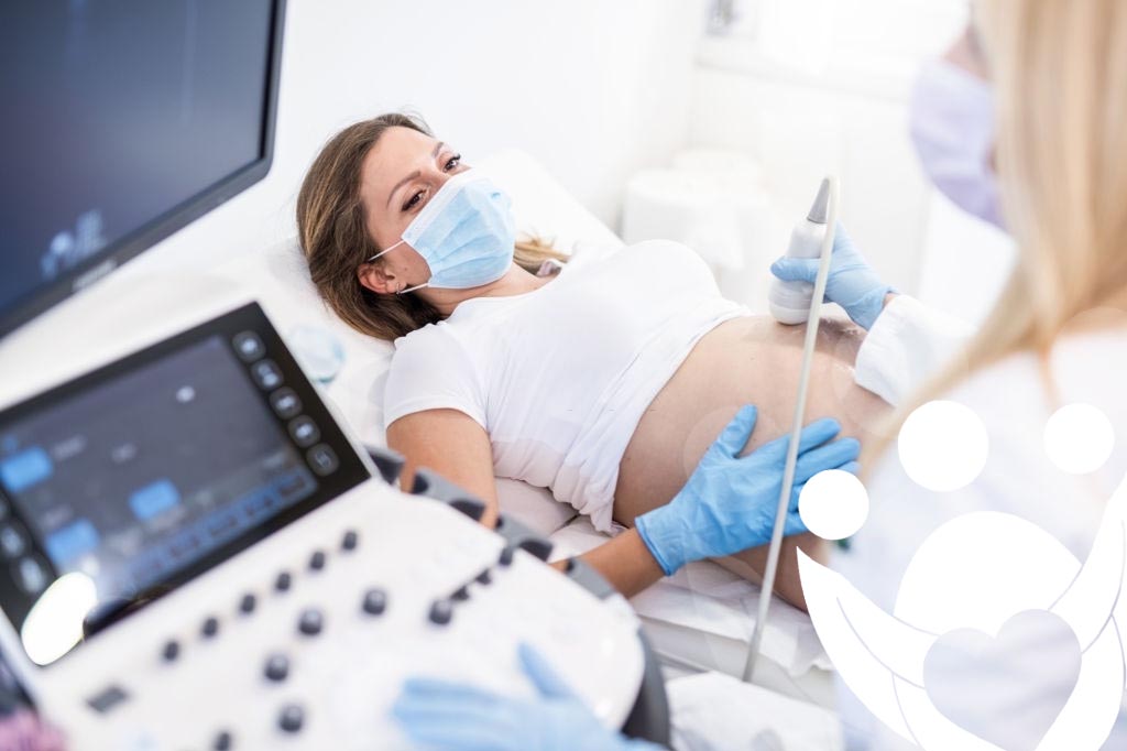 10 raisons d'être mère porteuse 2 ser una gestante subrogada