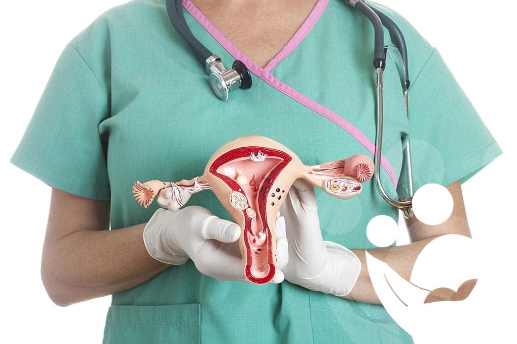How to choose an egg donor correctly? 2 utero