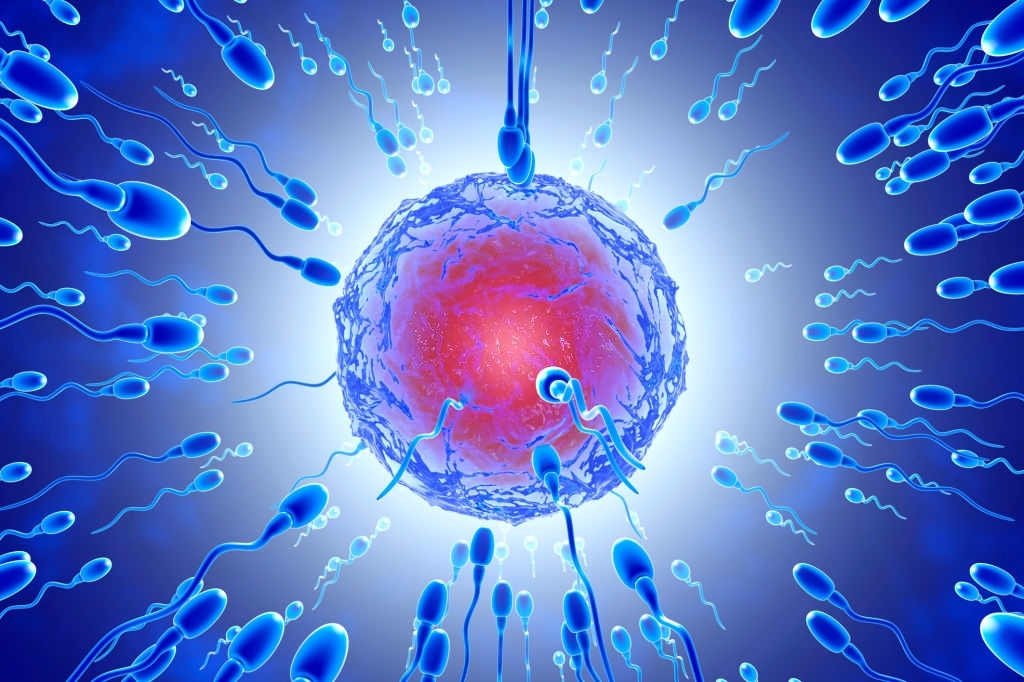 Consejos para mejorar la fertilidad masculina2 Consejos para mejorar la fertilidad masculina