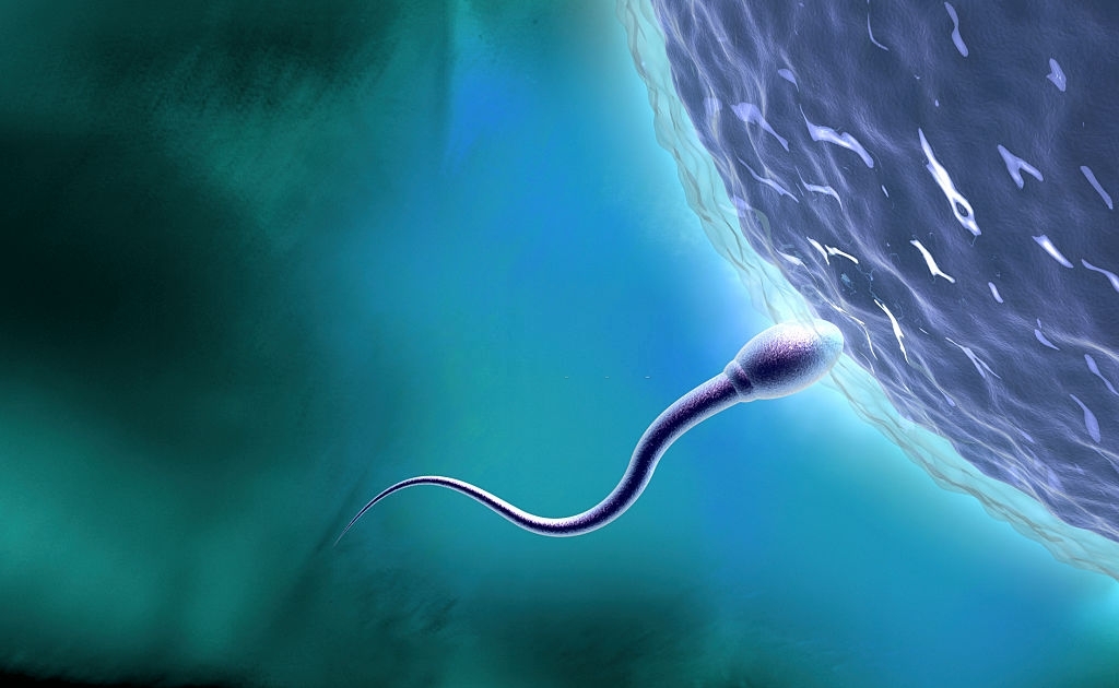 ¿Sabes cuál es la calidad de tu semen? 3 Sabes cual es la calidad de tu semen3